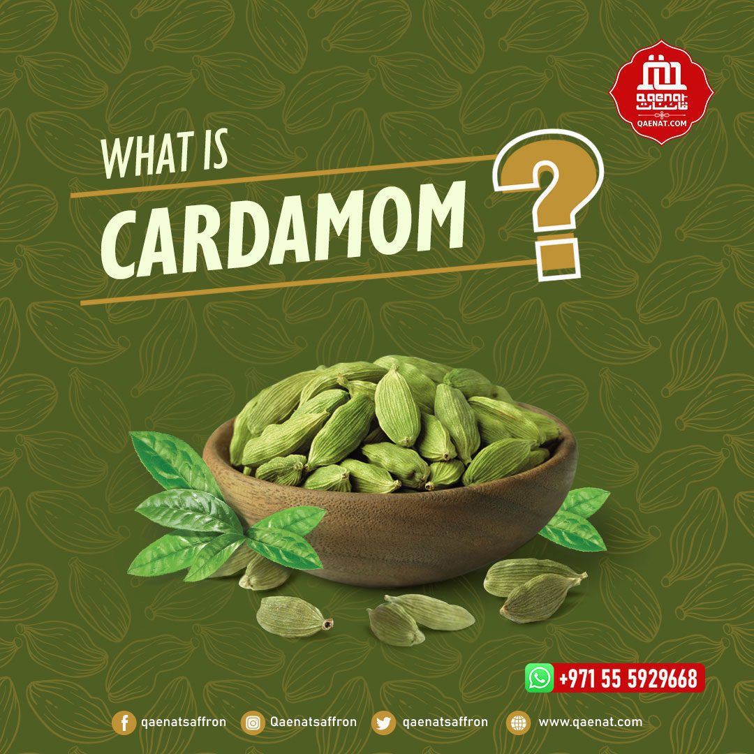 What is Cardamom?
