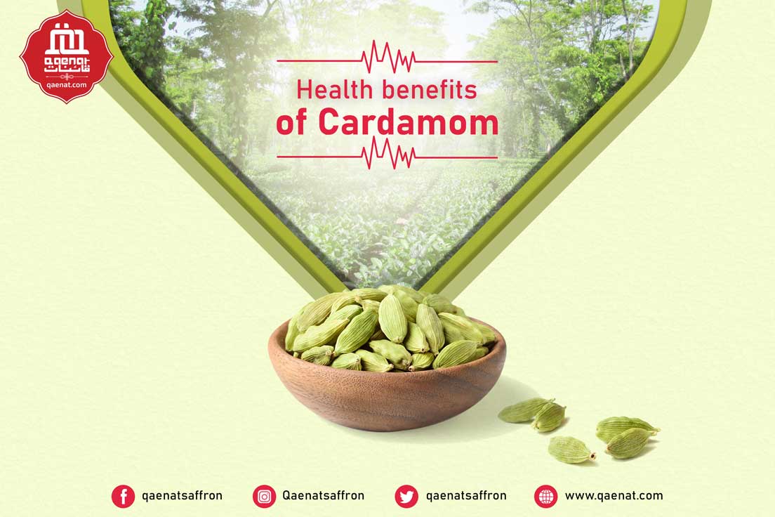 Health benefits of Cardamom