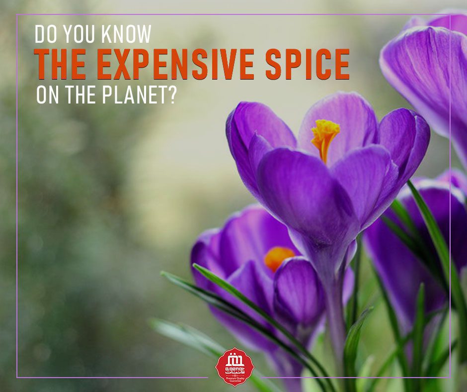 Do you know the most expensive spice on the planet?