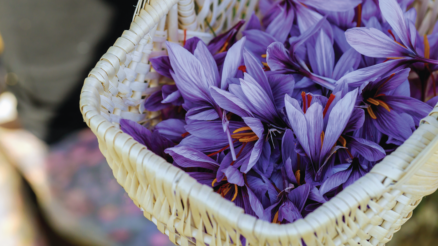 Qaenat Saffron زعفران قائنات