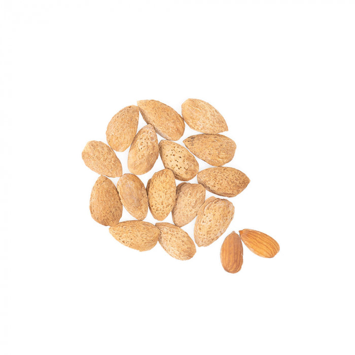 Almond in Shell Origin USA